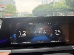 Ford Faraday Forrest 1.5L Automatic Glory Edition - ფოტო 19
