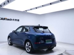 ORA Good Cat 401km Standard Range Deluxe LFP - ფოტო 11