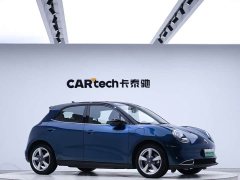 ORA Good Cat 401km Standard Range Deluxe LFP - ფოტო 5