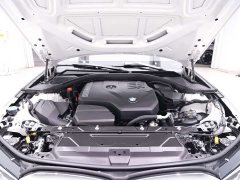 BMW 3 Series Facelift 320Li M Sport Package - ფოტო 18