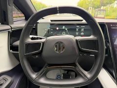 HiPhi X 2021 Flagship 6-Seater - ფოტო 13