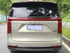 Great Wall WEY Shanshan New Energy 2023 Four-Wheel Drive Flagship Edition - ფოტო 5