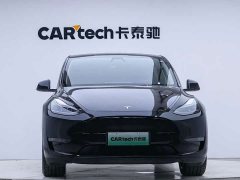 Tesla Model Y Standard Range RWD - ფოტო 6