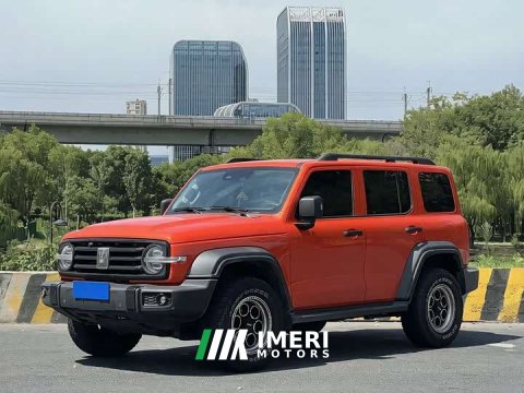 2021 Tank 300 Off-Road Edition 2.0T Conqueror - ავტომობილი ჩინეთიდან