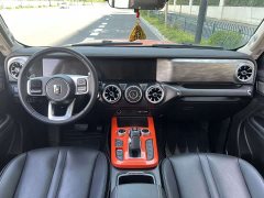Tank 300 Off-Road Edition 2.0T Conqueror - ფოტო 14