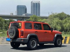 Tank 300 Off-Road Edition 2.0T Conqueror - ფოტო 6