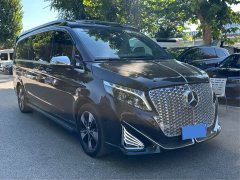 Mercedes-Benz Shang Zhe Shangzhe V-Class High-Roof Starry Sea SZ500 - photo 3