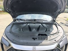 BYD Yuan Plus DM-i 215km Range AWD Flagship - ფოტო 18
