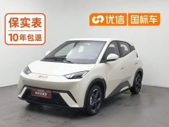 BYD Seagull Flying Edition - ფოტო 1