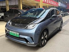 BYD Dolphin Glory Edition 401km Knight Edition - ფოტო 1
