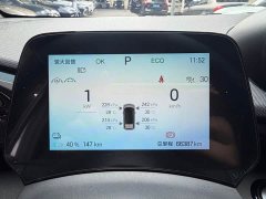 BYD Dolphin Glory Edition 401km Knight Edition - ფოტო 15