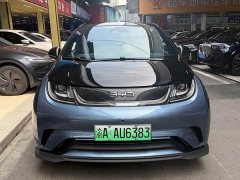 BYD Dolphin Glory Edition 401km Knight Edition - ფოტო 2