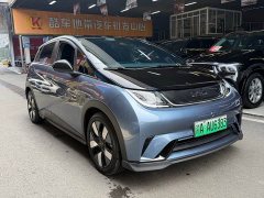 BYD Dolphin Glory Edition 401km Knight Edition - ფოტო 3