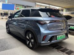 BYD Dolphin Glory Edition 401km Knight Edition - ფოტო 6