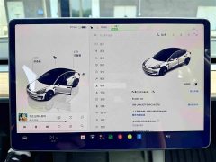 Tesla Model 3 2022 Rear-Wheel Drive - ფოტო 12