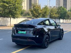 Tesla Model Y Facelift Rear-Wheel Drive - ფოტო 8
