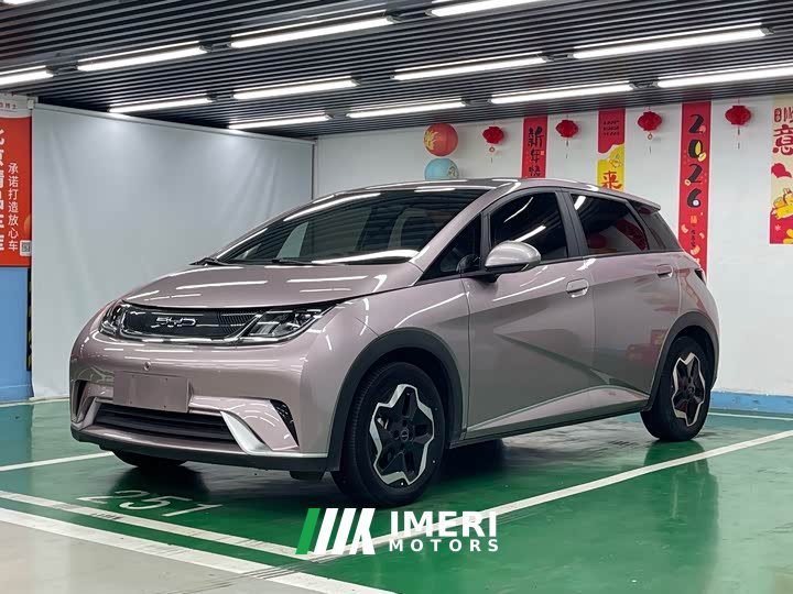 BYD Dolphin 405km Freedom Edition - ავტომობილი ჩინეთიდან