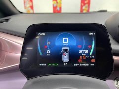 BYD Dolphin 405km Freedom Edition - ფოტო 13