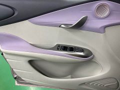 BYD Dolphin 405km Freedom Edition - ფოტო 17