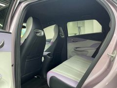 BYD Dolphin 405km Freedom Edition - ფოტო 18