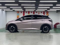 BYD Dolphin 405km Freedom Edition - ფოტო 4