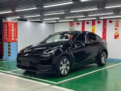 Tesla Model Y Standard Range RWD - ფოტო 1