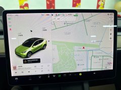 Tesla Model Y Standard Range RWD - ფოტო 14