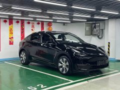 Tesla Model Y Standard Range RWD - ფოტო 3
