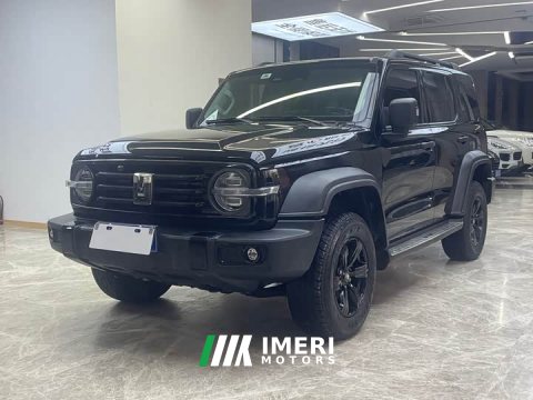2022 Tank 300 2021 Off-Road Edition 2.0T Conqueror - ავტომობილი ჩინეთიდან