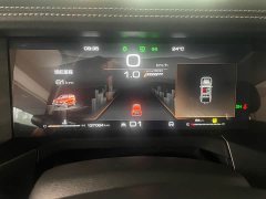 Tank 300 2021 Off-Road Edition 2.0T Conqueror - ფოტო 19
