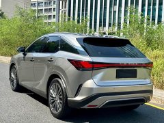 Lexus RX 2023 350h AWD Premium Edition - ფოტო 18
