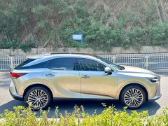 Lexus RX 2023 350h AWD Premium Edition - ფოტო 6