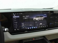 Buick Zhijing Shijia Luxury Edition - ფოტო 8