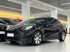 Tesla Model Y Rear-Wheel Drive - ფოტო 1