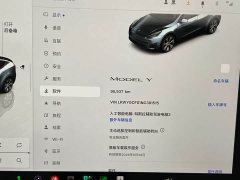 Tesla Model Y Rear-Wheel Drive - ფოტო 16