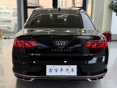 Volkswagen Magotan Facelift II Popular Edition 330TSI DSG Luxury - ფოტო 9