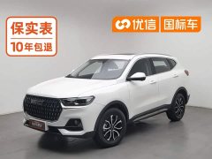Haval H6 National Trend Edition 1.5T Automatic Urban Version - ფოტო 1