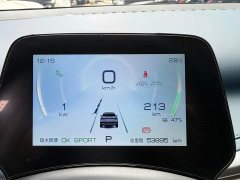 BYD Yuan Plus 510KM Flagship - ფოტო 14