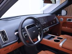 Li Auto L9 2022 Max - photo 11
