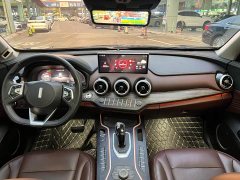 Great Wall WEY VV7 2.0T Tech Edition - ფოტო 7