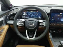 GAC Aion GS8 2024 Pioneer Series 2.0T GDI FWD Luxury Smart Connected 7-Seater - ფოტო 11