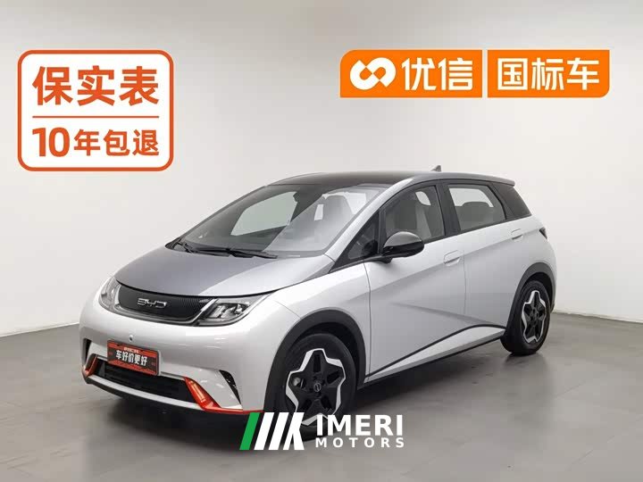 BYD Dolphin 405km Fashion Edition - ავტომობილი ჩინეთიდან