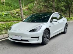 Tesla Model 3 Rear-Wheel Drive - ფოტო 1