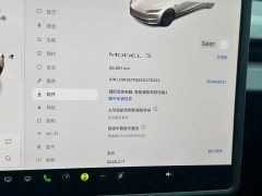 Tesla Model 3 Rear-Wheel Drive - ფოტო 12