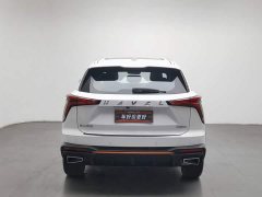 Haval Divine Beast 1.5T Smart Premium Edition - ფოტო 4
