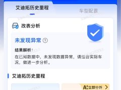 BYD DS 9 New Energy 1.6T E-TENSE Rivoli Plug-in Hybrid - ფოტო 19