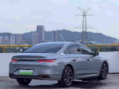 BYD DS 9 New Energy 1.6T E-TENSE Rivoli Plug-in Hybrid - ფოტო 5