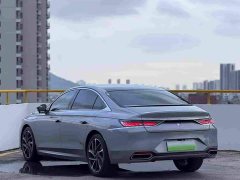 BYD DS 9 New Energy 1.6T E-TENSE Rivoli Plug-in Hybrid - ფოტო 7