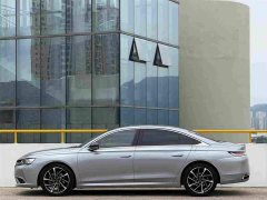 BYD DS 9 New Energy 1.6T E-TENSE Rivoli Plug-in Hybrid - ფოტო 9