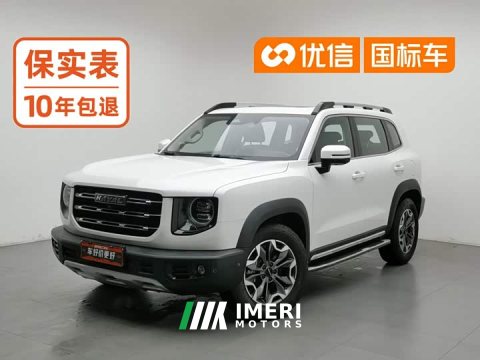 2021 Great Wall Dachshund 2.0T DCT Four-wheel Drive Howling Heavenly Dog Edition - ავტომობილი ჩინეთიდან